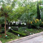 giardini della minerva