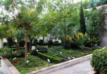 Scuola Medica Salernitana Patrimonio dell’Unesco? Avviato l’iter di riconoscimento