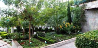 Scuola Medica Salernitana Patrimonio dell’Unesco? Avviato l’iter di riconoscimento