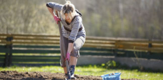 Più forti della burocrazia: il ritorno alla terra dei giovani del Sud