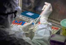 Pontecagnano, 650 tamponi con esito negativo: la gioia del sindaco Lanzara