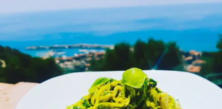 AlghePAM: ad Acciaroli l’azienda agricola di Spirulina, l’alga miracolosa