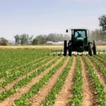 Coronavirus, agricoltura in affanno nel salernitano. Allarme per gli agriturismi