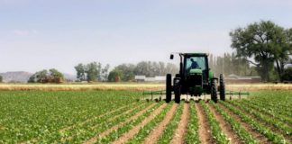 Coronavirus, agricoltura in affanno nel salernitano. Allarme per gli agriturismi