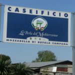 Capaccio, 25 kg di mozzarelle consegnate gratuitamente