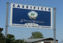 Capaccio, 25 kg di mozzarelle consegnate gratuitamente