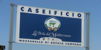 Capaccio, 25 kg di mozzarelle consegnate gratuitamente