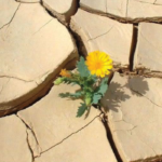 Dialoghi immaginari contro la paura: da Dostoevskij a Leopardi