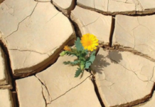 Dialoghi immaginari contro la paura: da Dostoevskij a Leopardi