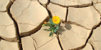 Dialoghi immaginari contro la paura: da Dostoevskij a Leopardi