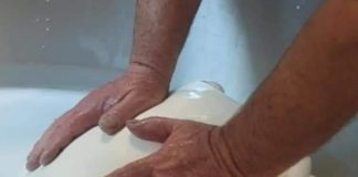 Nasce il Caciobond per sostenere il settore bufalino: paghi oggi e lo mangi nel 2022