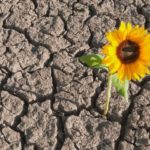 Ci possiamo definire resilienti?