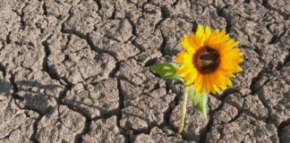 Ci possiamo definire resilienti?