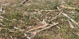 Guanti e mascherine: una sicurezza per noi, ma un pericolo per l’ambiente Guanti e mascherine