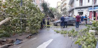 Ondate di calore e alluvioni, l’impatto dei cambiamenti climatici sulle città