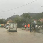 Maltempo, danni ingenti agli uliveti Dop del basso Cilento