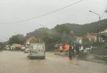 Maltempo, danni ingenti agli uliveti Dop del basso Cilento