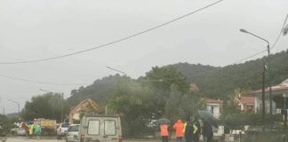 Maltempo, danni ingenti agli uliveti Dop del basso Cilento