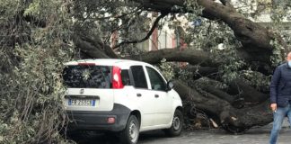 Bufera di vento sferza l’Agro e la Costiera. Danni al comparto agricolo
