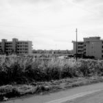 L’arrembaggio della sinistra nell’indifferenza delle periferie