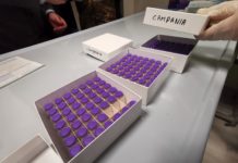 Rallenta la campagna ma arriva Pfizer. Asl Salerno: “Proseguiamo con fragili e ultraottantenni”