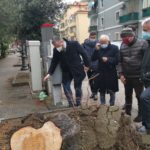 Alberature cittadine, incontro Comune di Salerno-Ordine Agronomi. Partita la pulizia dei quartieri