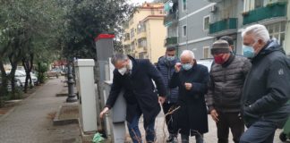 Alberature cittadine, incontro Comune di Salerno-Ordine Agronomi. Partita la pulizia dei quartieri