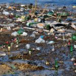 Microplastiche nelle urine umane: lo studio di Unisa e Politecnica