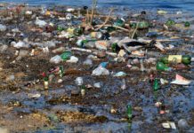 La nuova flotta antinquinamento per liberare dai rifiuti marini le coste italiane