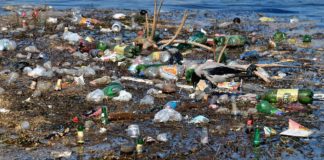 Microplastiche nelle urine umane: lo studio di Unisa e Politecnica