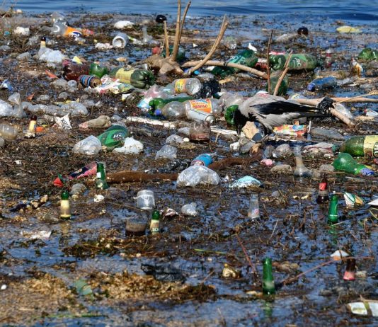 Microplastiche nelle urine umane: lo studio di Unisa e Politecnica