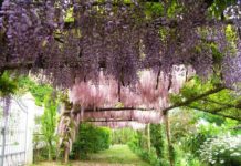 Nuova “immagine” per la Festa del Libro in Mediterraneo. XV edizione, al via i concorsi