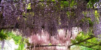 Nuova “immagine” per la Festa del Libro in Mediterraneo. XV edizione, al via i concorsi