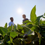 Fertilità, suoli e salute: un patto per per la filiera agroalimentare