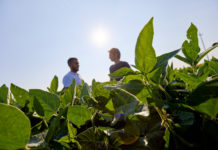 Fertilità, suoli e salute: un patto per per la filiera agroalimentare