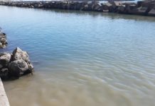 Salerno, nuovo sversamento di liquami in mare