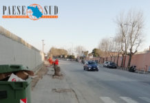 Via Clark, strage di platani. A Salerno il cemento soppianta il verde