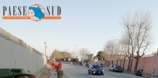 Via Clark, strage di platani. A Salerno il cemento soppianta il verde