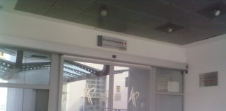 Paddy e la “nuova vita” a Camposampiero, Veneto