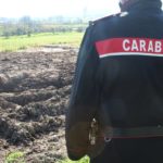 Smaltimento illecito dei reflui, scattano i sigilli per tre aziende zootecniche