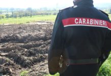 Smaltimento illecito dei reflui, scattano i sigilli per tre aziende zootecniche