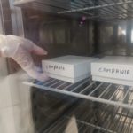 In Campania positività sale al 3%. Variante Delta Plus più contagiosa