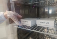 Lo smarrimento del personale scolastico. Seconda dose, le risposte degli esperti