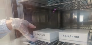 Vaccinazioni, al via adesioni per fascia 45-49. Dal 18 maggio via libera 40-44