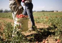 Il limbo dei lavoratori migranti, esclusi dai diritti e abbandonati al proprio destino