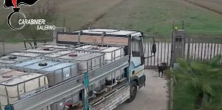 La nuova terra dei fuochi nel Vallo di Diano: 7 arresti. Gli affari dei clan nella zona