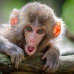 Quanto di quello che fai è frutto di tue scelte e quanto invece dipende dalle scelte altrui?