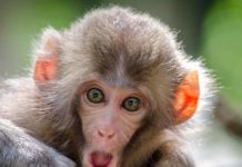 Quanto di quello che fai è frutto di tue scelte e quanto invece dipende dalle scelte altrui?