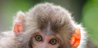 Quanto di quello che fai è frutto di tue scelte e quanto invece dipende dalle scelte altrui?