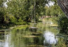 Oasi Rio Santa Marina: nuova vita per l’affluente del Fiume Sarno